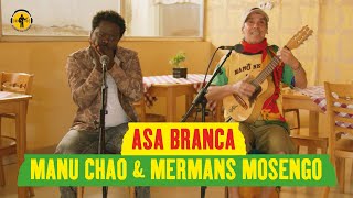 Manu Chao and Mermans Mosengo - Asa Branca (Playing For Change) [Official Live Video]