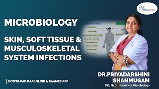 Skin, Soft Tissue & Musculoskeletal System Infections screenshot 5