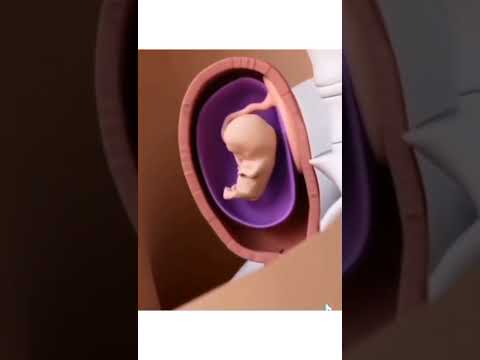 مراحل خلق الانسان وليس كما يقول الملحدين اشتراك اكسبلور القرآن الكريم