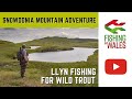 Snowdonia Mountain Trout adventure - llyn fishing for wild brown trout in North Wales