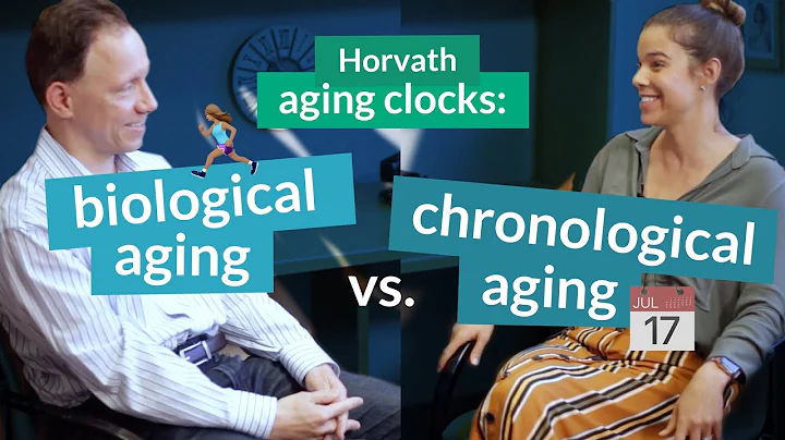 Horvath epigenetic aging clocks measure two types ...