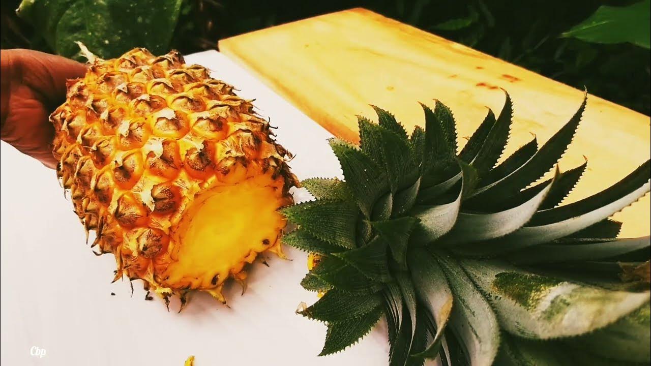 How to cut fresh pineapple correctly🍍 i don't like to eat pineapples