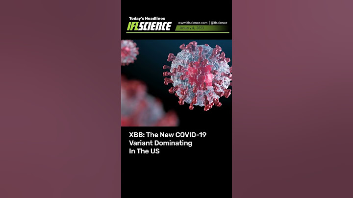 Top Science Headlines - 4 January 2023