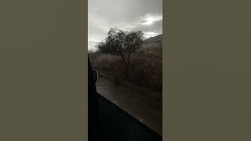 تلاوه مريحة لابعد درجة❤️‍🩹🥺 ايات سكينة و هدوء #القرآن_راحة_نفسية