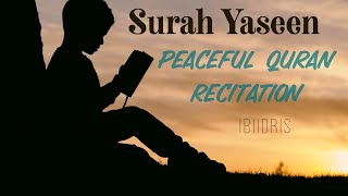 Quran recitation for sleep | Surah Yaseen | with English translations!