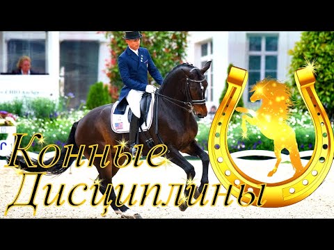 Виды конного спорта🏇