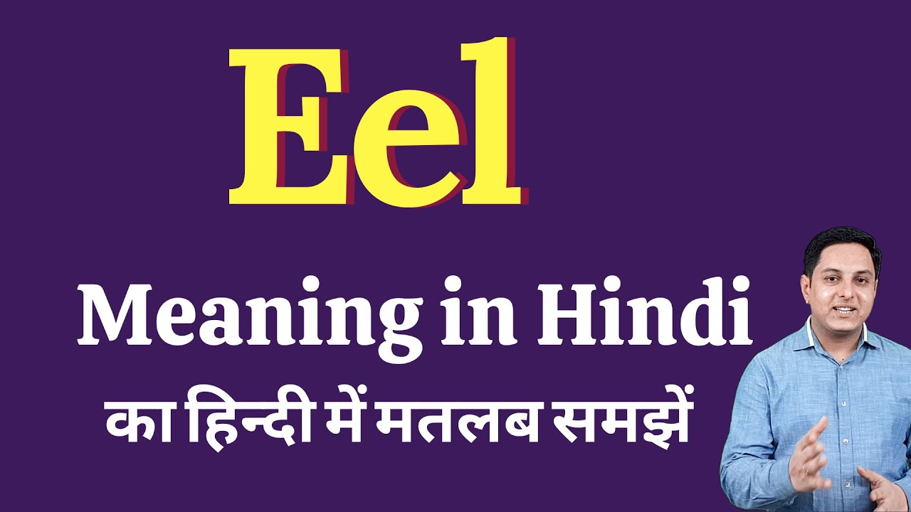 Eel Meaning In Hindi Eel Ka Kya Matlab Hota Hai Spoken English Eel meaning in hindi eel ka kya matlab hota hai spoken english