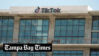 Could TikTok really go away? by Tampa Bay Times 2,059 views 2 months ago 2 minutes, 2 seconds