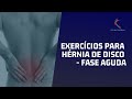 EXERCÍCIOS PARA A HÉRNIA DE DISCO  Fase Aguda  /  Edição 2