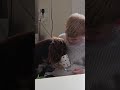 Ziggi eating my ice cream!