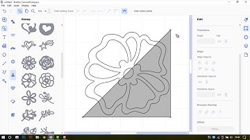 Designing A Positive And Negative Drawn Design In Canvas Workspace (Installed Version)