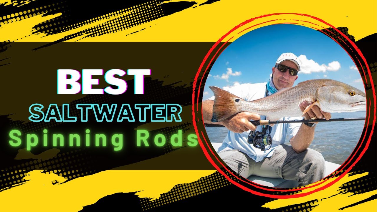 Top 10 Best Saltwater Fishing Rods in 2022 (Complete Buying Guide) 