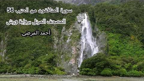 المصحف المرتل برواية ورش|سورة المنافقون من الحزب 56 ،Surat Al-munafiqun "أحمد المرضي"