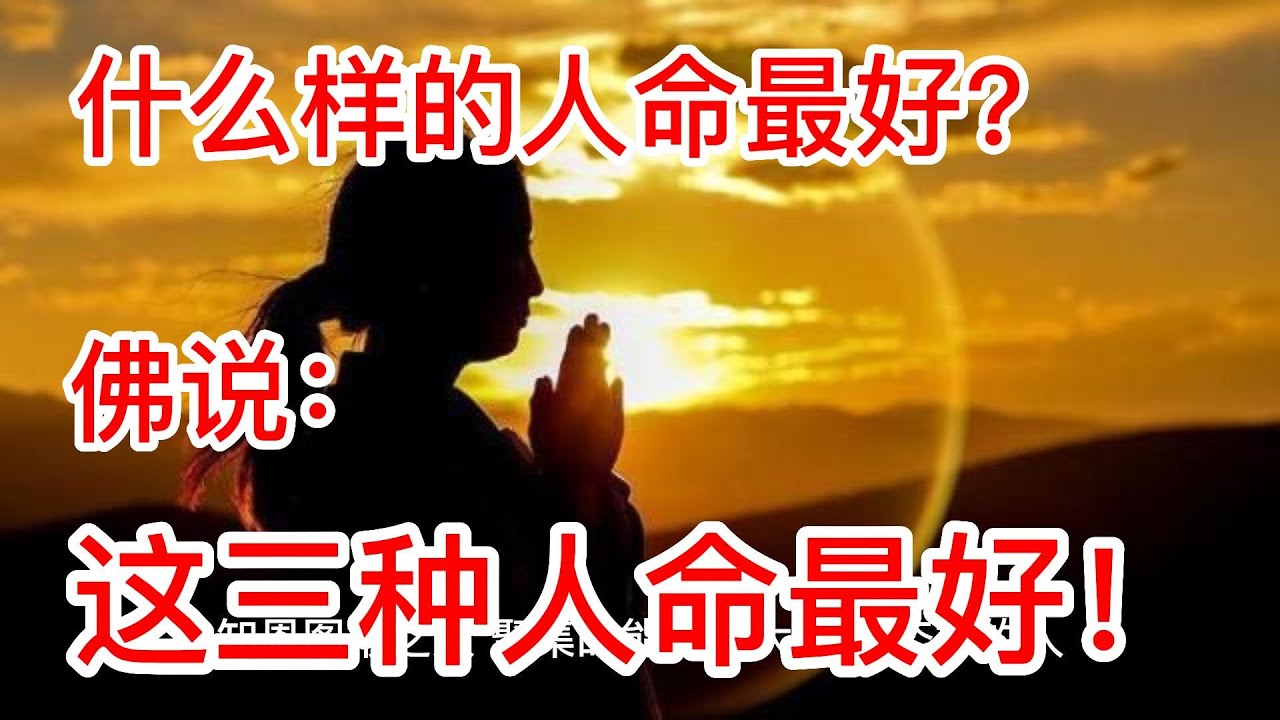 什么样的人命最好？ 佛说：这三种人命最好！ - YouTube
