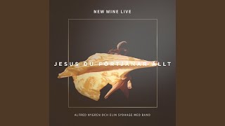 Video thumbnail of "New Wine Sweden - Oändlig nåd (Sjung Halleluja)"