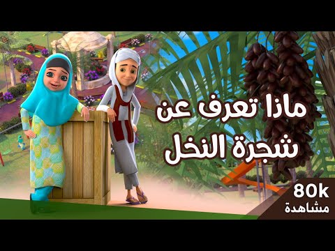 فيديو: ما هو عرض شجرة النخيل؟