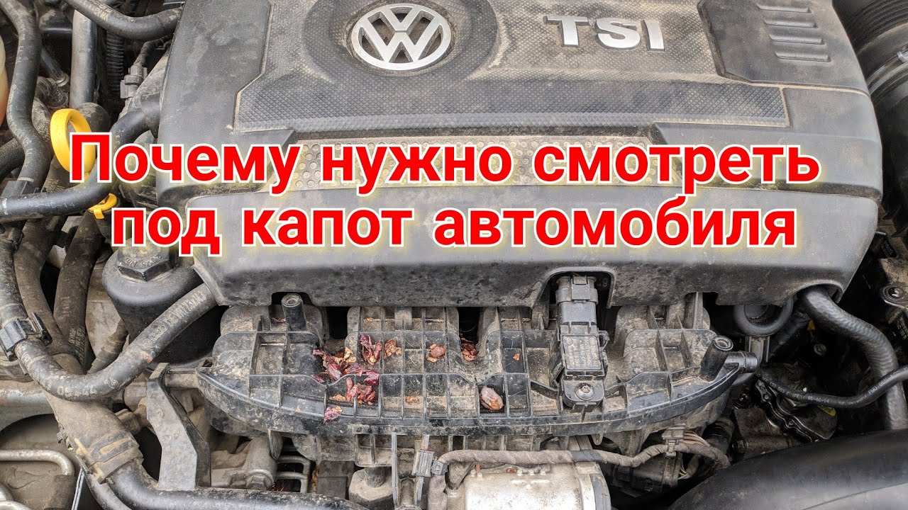 Почему греется капот автомобиля