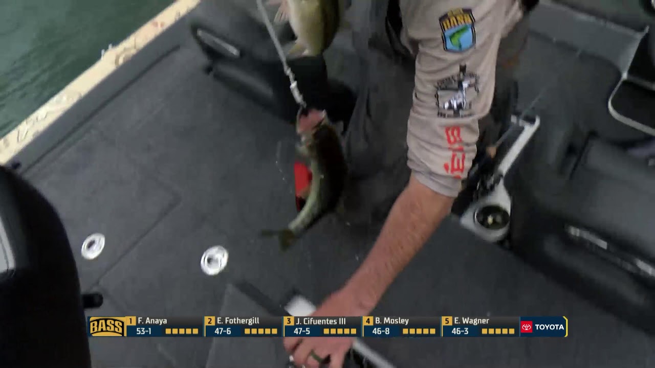 2026 Progressive Bassmaster Elite Series – Day 4- Toyota MidDay Report at Lake Martin, AL