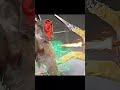 T-1000 Uses Fatality On Red Devil Ghostface #shorts #mk1 #gaming