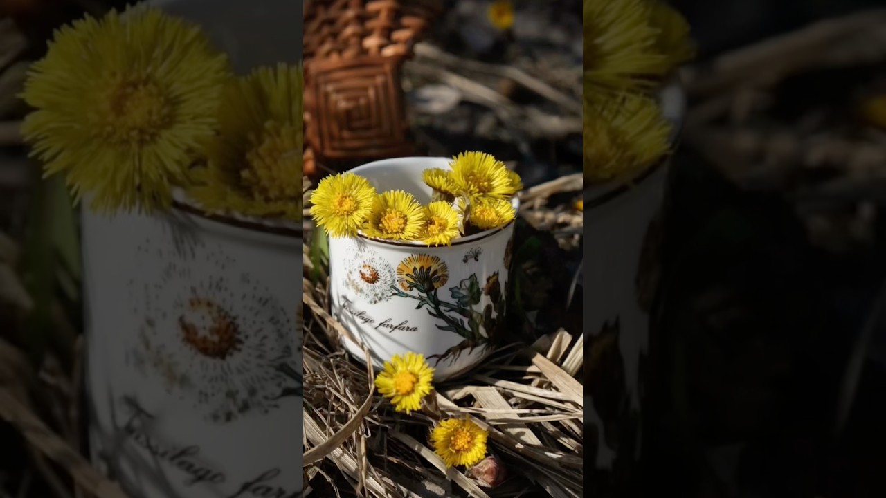 🌼Почему детей лучше не лечить мать-и-мачехой от болей в горле?  