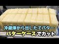 常温放置何分でカットできる？！冷蔵庫から出したてのバターをバターカッター付きバターケースでせっかちカット スケーターskater BTG2DX