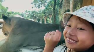 BALI ZOO !