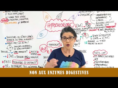 Vidéo: Manque D'enzymes Digestives Chez Les Chats