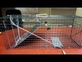 IIT Folding Animal Trap Sensitivity Adjustment Item # 44320