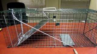 IIT Folding Animal Trap Sensitivity Adjustment Item # 44320