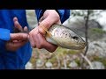 Foggy Fishing in the Beartooth Mountains (Fishing Montana)