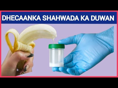 Semiz odam tukli mushukni sikadi