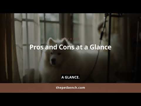 Watch: Best Dog Grooming Kit for Large Breed Dogs Review 2026