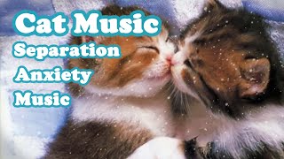 Cats favorite music, let your cat listen to it when you go out. sleep cat music