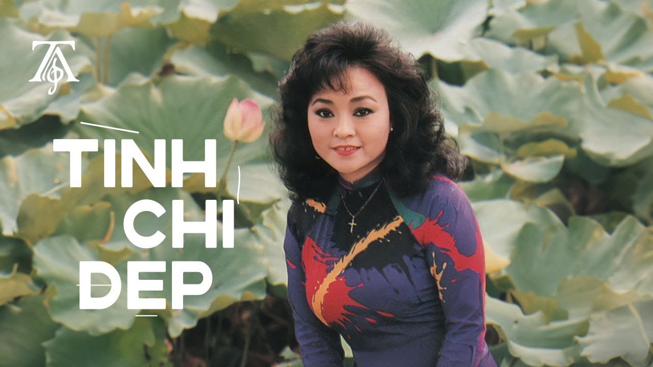 Tình Chỉ Đẹp (Album 1987) | Hương Lan, Thanh Tuyền, Giao Linh, Phương Dung... | Nhạc Vàng Bất Hủ