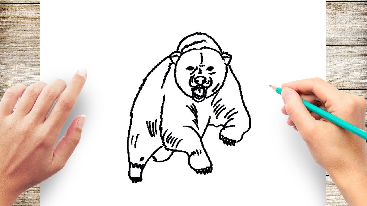 How to Draw Angry Bear Growling - YouTube