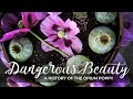 Dangerous beauty a history of the opium poppy mp3