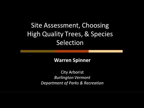 Tree Selection and Planting Site Assessment