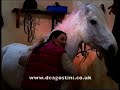 I Love Horses And Horse Riding Magazine Advert 2004 