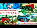 ഗപ്പി ചാകരകാണണോ !!!ഗപ്പികളുടെയും മോളികളുടെയും ഓസ്കാർ zeebra angels എല്ലാ ഫിഷുകളും ഇവിടെഉണ്ട് |PART 1