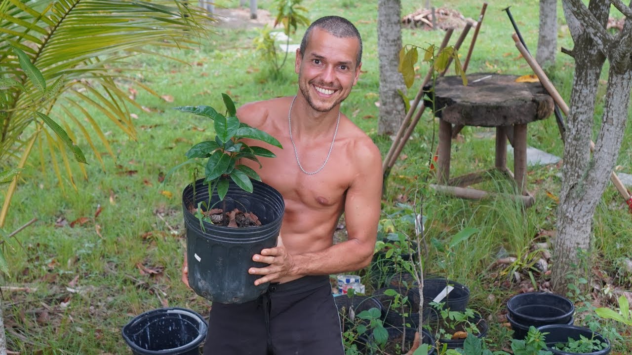POMAR DE FRUTAS RARAS! MELHORES FRUTAS PLANTAR NO JARDIM