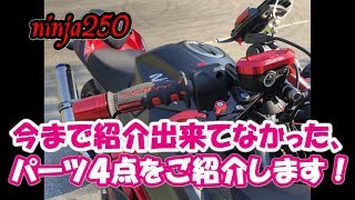 【ninja250】今まで紹介出来てなかった、パーツ４点をご紹介します！【モトブログ】
