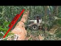 MÁFIA DA TORA G.S | trator Skidder Puxando a maior árvore da floresta (30 Metros)