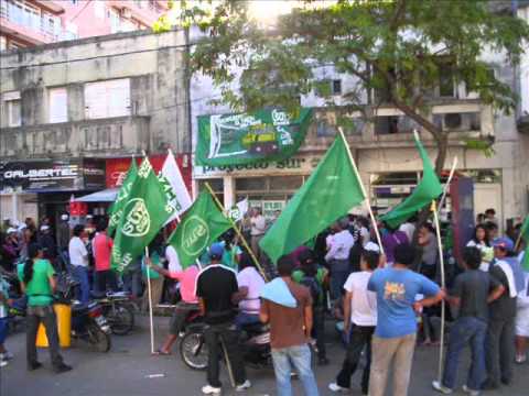 juventud proyecto sur chaco-cierre de campaa alcir...