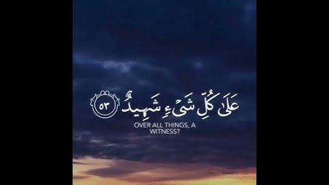 القارئ عبد الرحمن العمري سورة (فصلت)