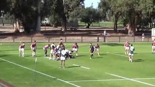 Sacramento State Hornet Rugby vs Stanford - 02-08-20