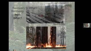 Redwood Forest Recovery with Dr. Will Russell