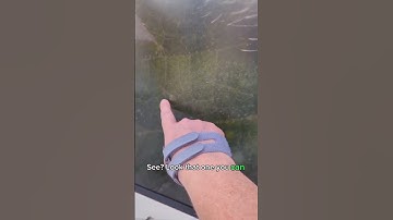 Stinging Nettles sting? #cool #funfacts #nettles #didyouknow #guernsey #microscope #macro