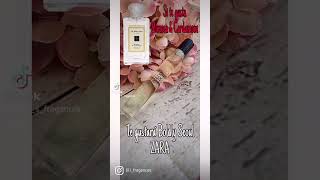 🔴PERFUMES de Zara muy parecidos a perfumes conocidos