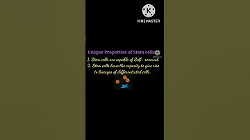 Important Properties Of Stem Cells @EnteMicrobialWorld