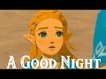 Zelda Breath of the Wild - A Good Night
